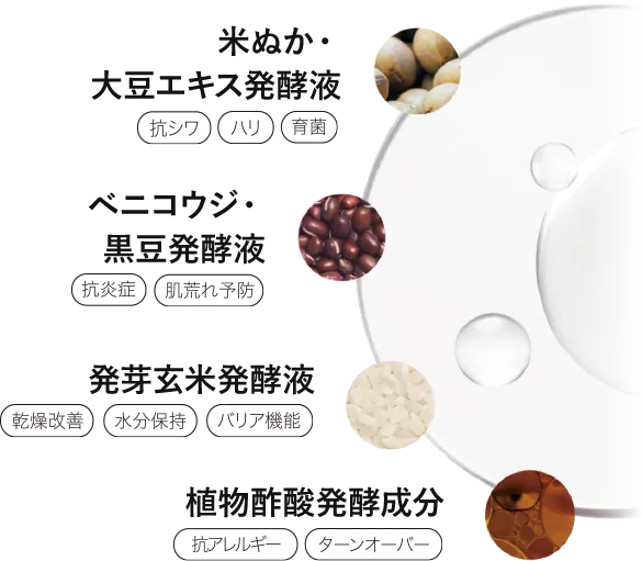 米ぬか・大豆エキス発酵液・ベニコウジ・黒豆発酵液・発芽玄米発酵液・植物酢酸発酵成分